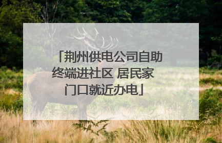 荆州供电公司自助终端进社区 居民家门口就近办电
