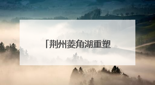 荆州菱角湖重塑鸟类栖息环境