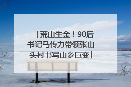 荒山生金！90后书记马传力带领张山头村书写山乡巨变