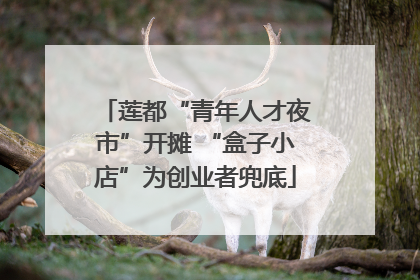 莲都“青年人才夜市”开摊 “盒子小店”为创业者兜底