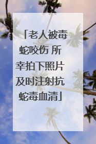 老人被毒蛇咬伤 所幸拍下照片及时注射抗蛇毒血清