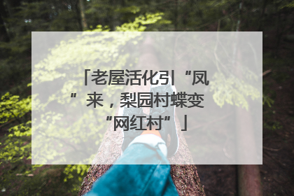 老屋活化引“凤”来，梨园村蝶变“网红村”
