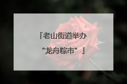 老山街道举办“龙舟粽市”