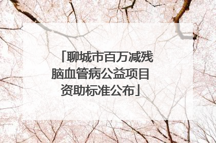 聊城市百万减残脑血管病公益项目资助标准公布