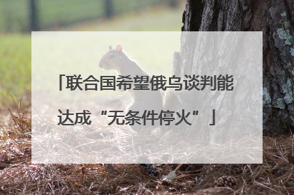 联合国希望俄乌谈判能达成“无条件停火”