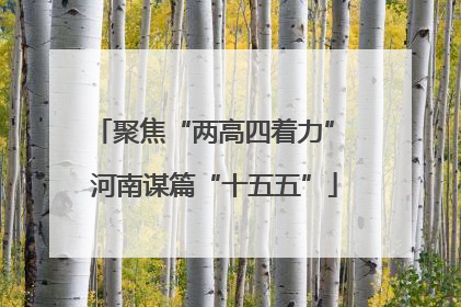 聚焦“两高四着力” 河南谋篇“十五五”