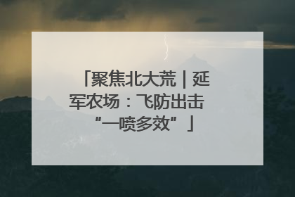 聚焦北大荒｜延军农场：飞防出击 “一喷多效”