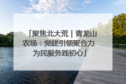 聚焦北大荒｜青龙山农场：党建引领聚合力 为民服务践初心