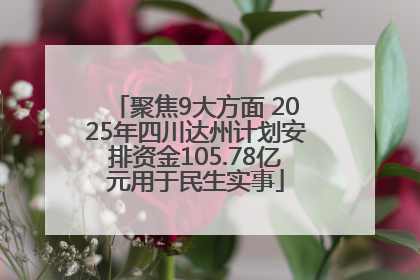 聚焦9大方面 2025年四川达州计划安排资金105.78亿元用于民生实事
