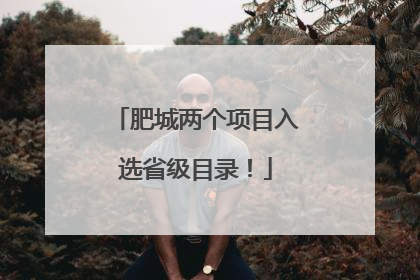 肥城两个项目入选省级目录！
