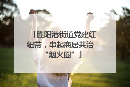 胜阳港街道党建红纽带，串起商居共治 “烟火圈”