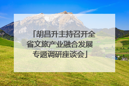 胡昌升主持召开全省文旅产业融合发展专题调研座谈会