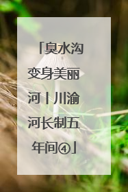 臭水沟变身美丽河丨川渝河长制五年间④