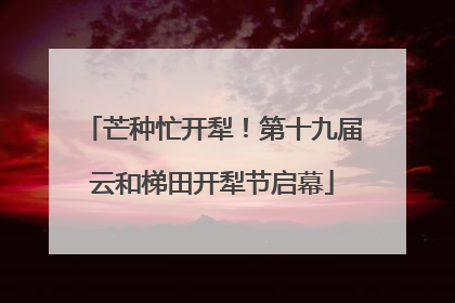 芒种忙开犁！第十九届云和梯田开犁节启幕