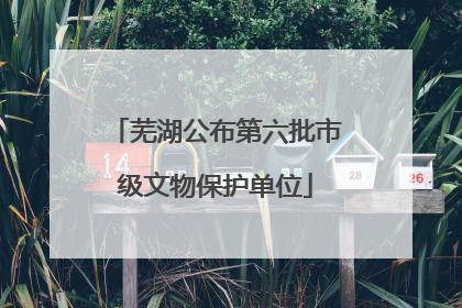 芜湖公布第六批市级文物保护单位