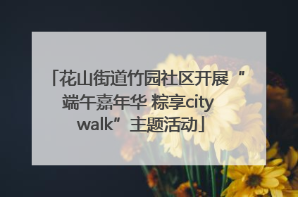 花山街道竹园社区开展“端午嘉年华 粽享city walk”主题活动