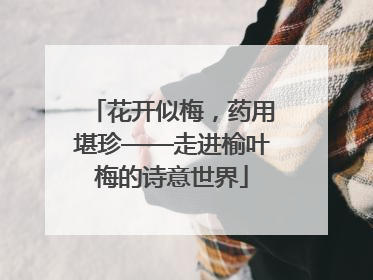 花开似梅，药用堪珍——走进榆叶梅的诗意世界