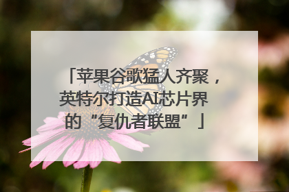 苹果谷歌猛人齐聚，英特尔打造AI芯片界的“复仇者联盟”