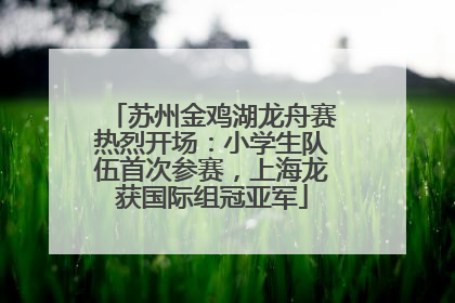 苏州金鸡湖龙舟赛热烈开场:小学生队伍首次参赛,上海龙获国际组冠亚军