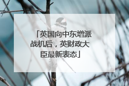 英国向中东增派战机后，英财政大臣最新表态