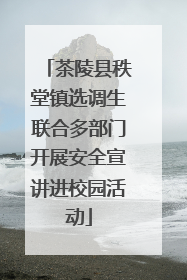 茶陵县秩堂镇选调生联合多部门开展安全宣讲进校园活动