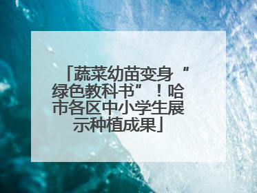 蔬菜幼苗变身“绿色教科书”！哈市各区中小学生展示种植成果