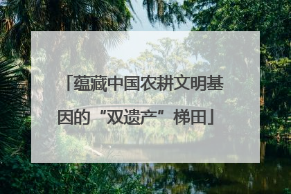 蕴藏中国农耕文明基因的“双遗产”梯田