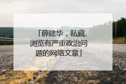 薛建华，私藏、浏览有严重政治问题的网络文章