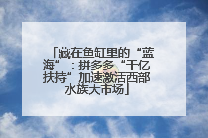 藏在鱼缸里的“蓝海”：拼多多“千亿扶持”加速激活西部水族大市场