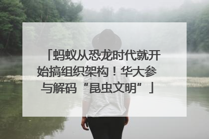蚂蚁从恐龙时代就开始搞组织架构！华大参与解码“昆虫文明”