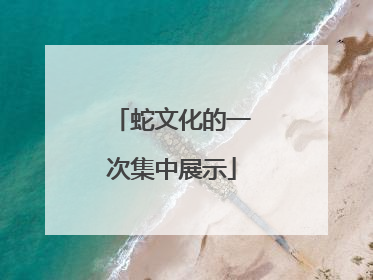 蛇文化的一次集中展示