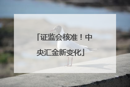 证监会核准！中央汇金新变化