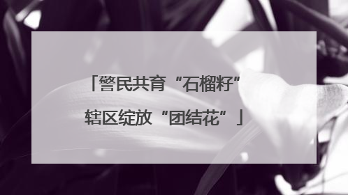 警民共育“石榴籽” 辖区绽放“团结花”
