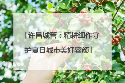 许昌城管：精耕细作守护夏日城市美好容颜