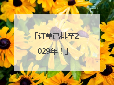 订单已排至2029年！