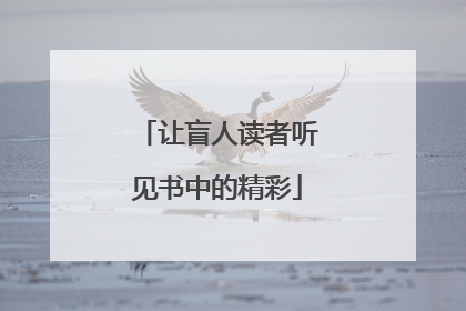 让盲人读者听见书中的精彩