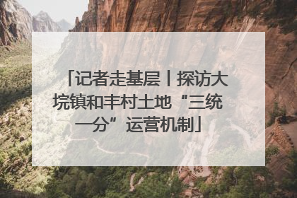 记者走基层丨探访大垸镇和丰村土地“三统一分”运营机制
