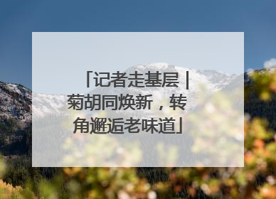 记者走基层｜菊胡同焕新，转角邂逅老味道