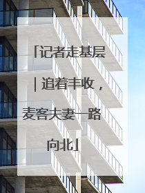 记者走基层｜追着丰收，麦客夫妻一路向北