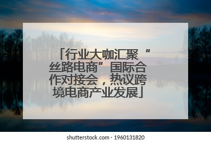行业大咖汇聚“丝路电商”国际合作对接会，热议跨境电商产业发展
