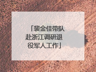 裴金佳带队赴浙江调研退役军人工作