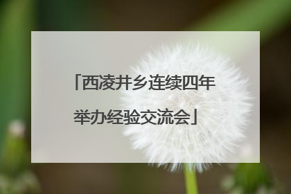 西凌井乡连续四年举办经验交流会