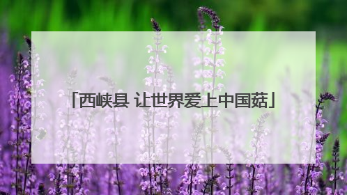 西峡县 让世界爱上中国菇