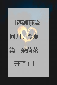 西湖顶流回归：今夏第一朵荷花开了！
