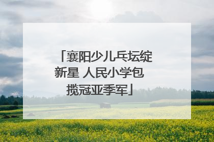 襄阳少儿乓坛绽新星 人民小学包揽冠亚季军