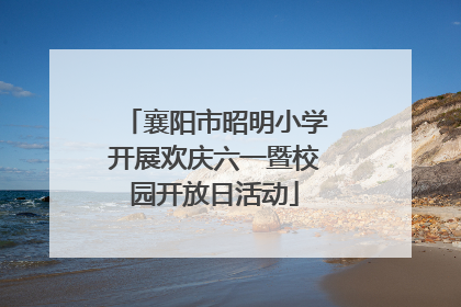 襄阳市昭明小学开展欢庆六一暨校园开放日活动