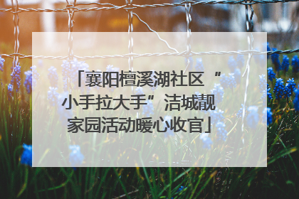 襄阳檀溪湖社区“小手拉大手”洁城靓家园活动暖心收官
