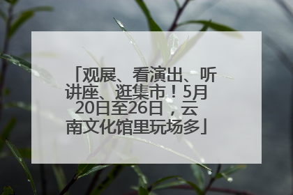 观展、看演出、听讲座、逛集市！5月20日至26日，云南文化馆里玩场多
