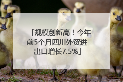 规模创新高！今年前5个月四川外贸进出口增长7.5%