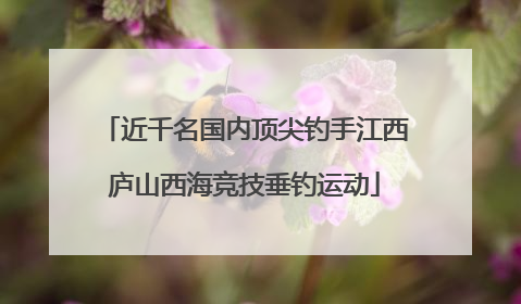 近千名国内顶尖钓手江西庐山西海竞技垂钓运动